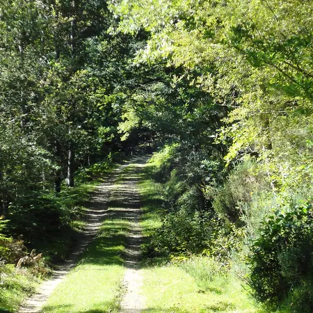 El Mirador De Casa Guarena Villabascones de Sotoscueva